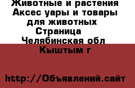 Животные и растения Аксесcуары и товары для животных - Страница 2 . Челябинская обл.,Кыштым г.